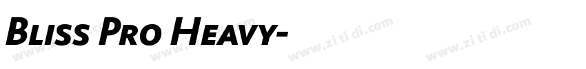 Bliss Pro Heavy字体转换